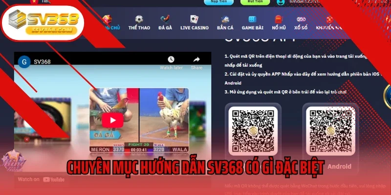 Chuyên mục hướng dẫn sv368 có gì đặc biệt